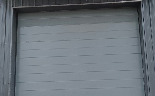 海西直辖车库门